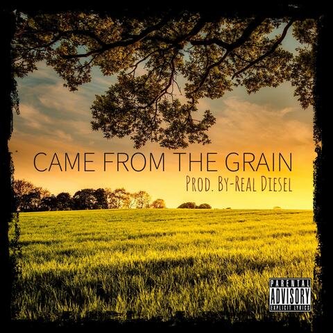 Came from the Grain