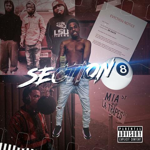 Section 8