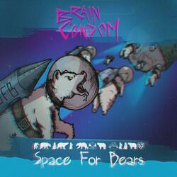 Space for Bears