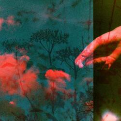 Solstice.