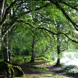 This Life's for Living