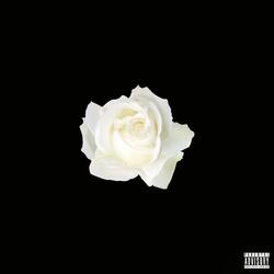 White Rose