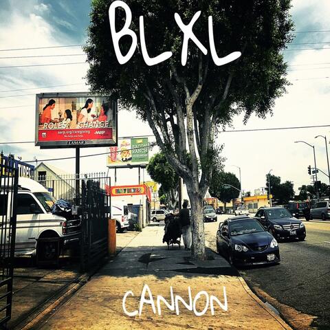 Cannon