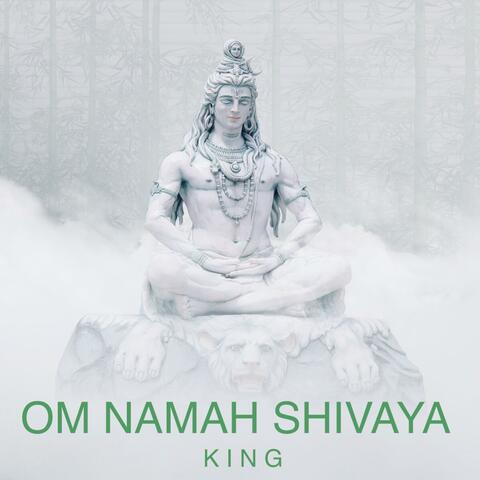Om Namah Shivaya Mantra 108 Times