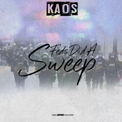 Feds Did a Sweep Freestyle