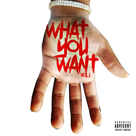 What You Want, Vol. 1