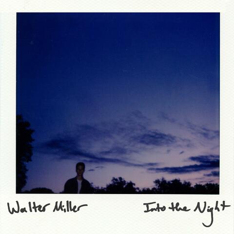 Into the Night