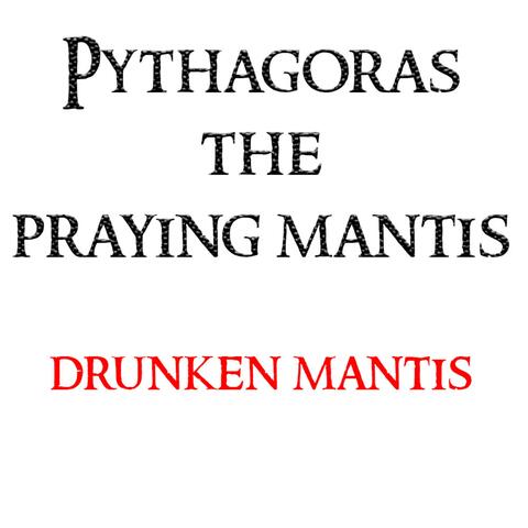 Drunken Mantis