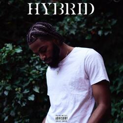 Brighter Interlude
