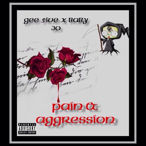 Pain & Aggression