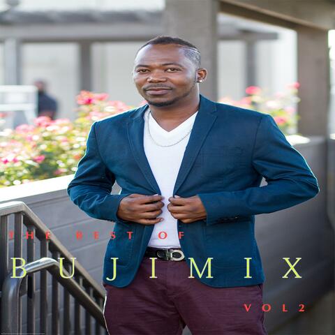 The Best of Bujimix, Vol. 2