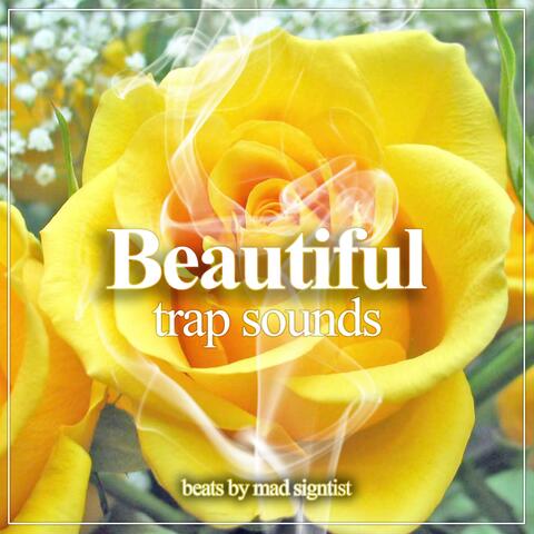 Beautiful Trap Sounds