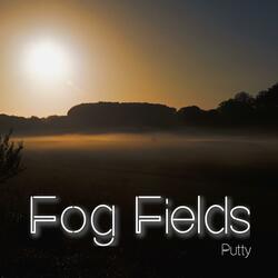 Fog Fields