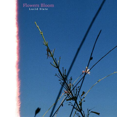 Flowers Bloom