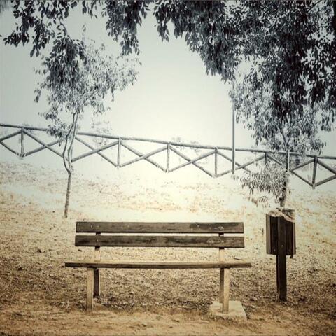 The Bench 13:13:10