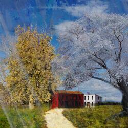 Sisters Under the Same Roof Again