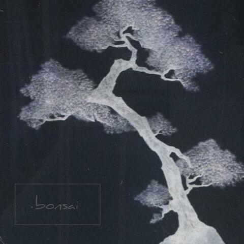 Bonsai