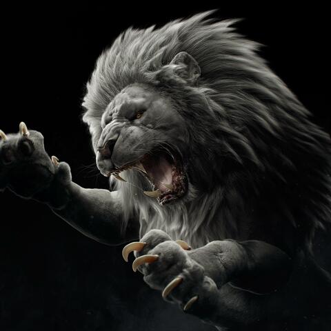 Rise