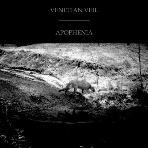 Apophenia (or Patterns, Presumptions, Images, Endings)
