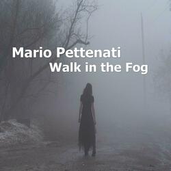 Walk in the Fog
