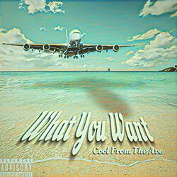 What You Want