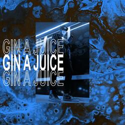 Gin a Juice