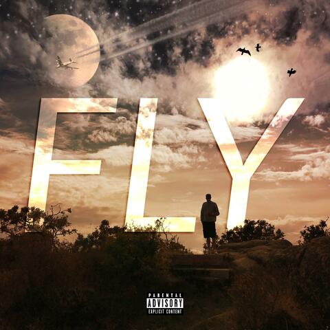 Fly