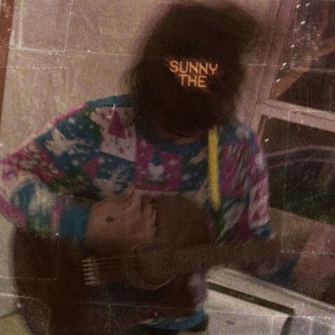 Sunny The