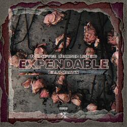 Expendable