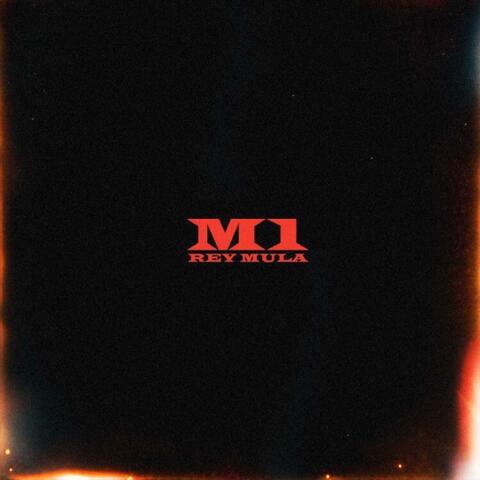 M1