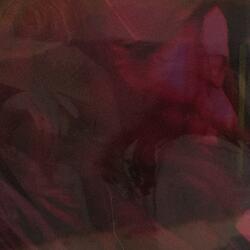 My Sight (feat. Thom Haha)