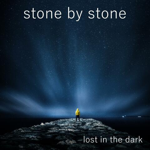 Lost in the Dark