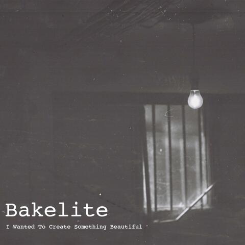 I Wanted to Create Something Beautiful