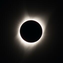 Father Forgive Me I Have Sinned