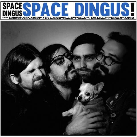Space Dingus