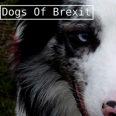 Dogs of Brexit
