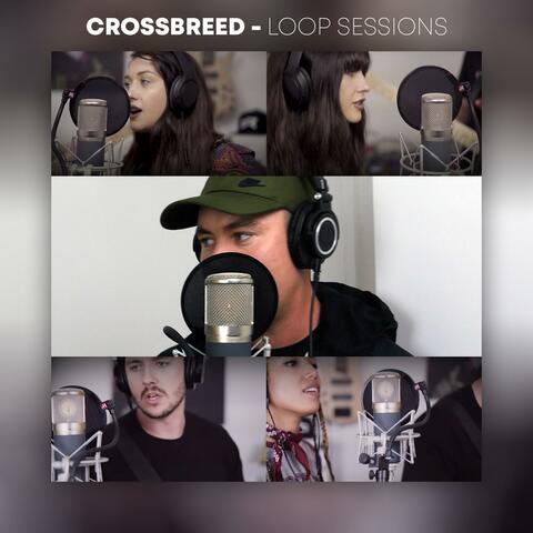 Loop Sessions
