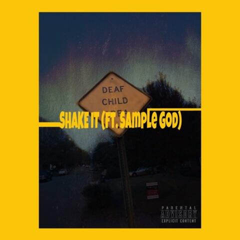 Shake It