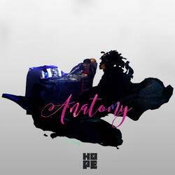 Anatomy