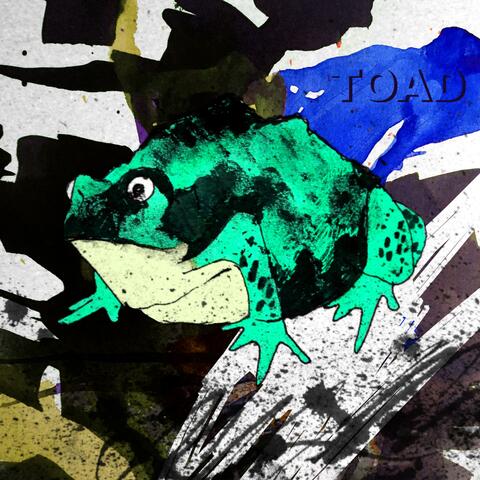 Toad