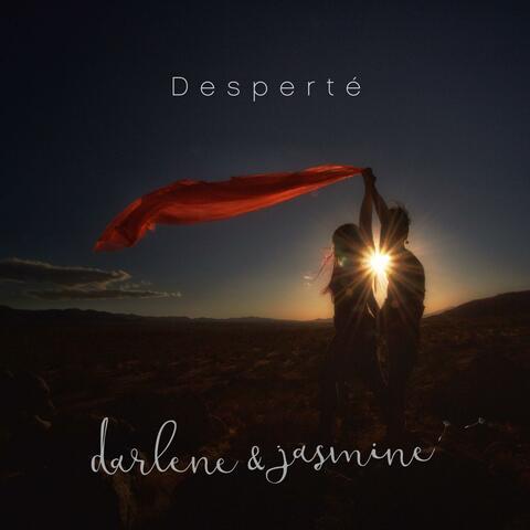 Desperté