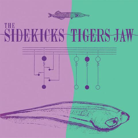 The Sidekicks/Tigers Jaw Split