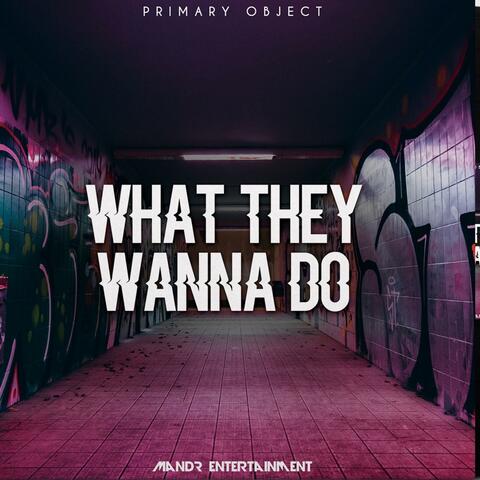 What They Wanna Do