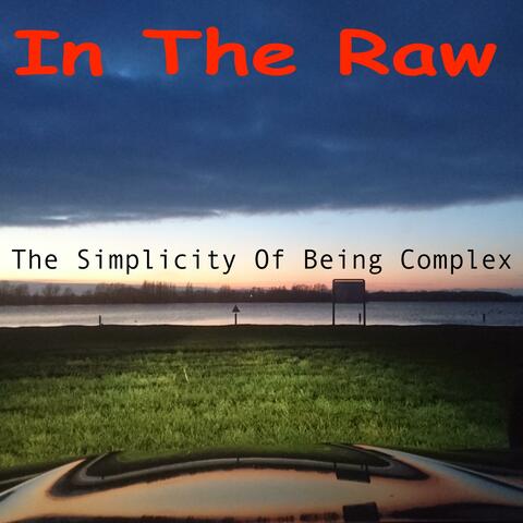 The Simplicity of Being Complex