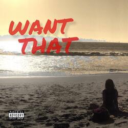 Want That (HolyyBeatz X Shaan Mehta)