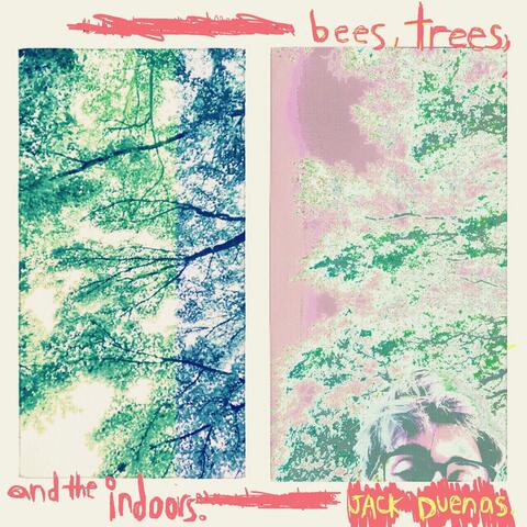 Bees, Trees, and the Indoors
