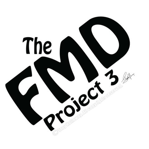 The FMD Project 3