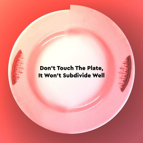 Don't Touch the Plate, It Won't Subdivide Well