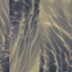 The Persistence of Doubt