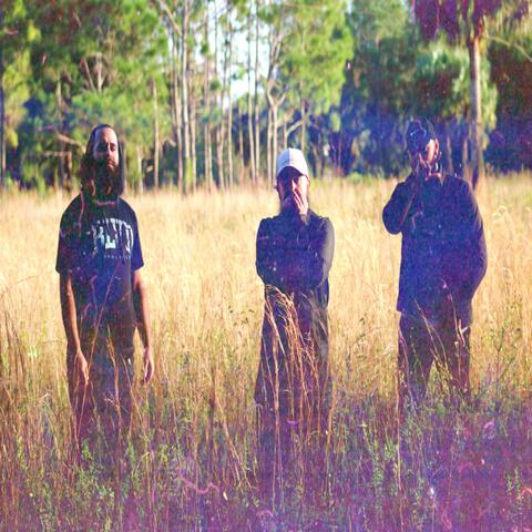 Suicide Fields